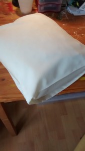IMG_20160306_140058068